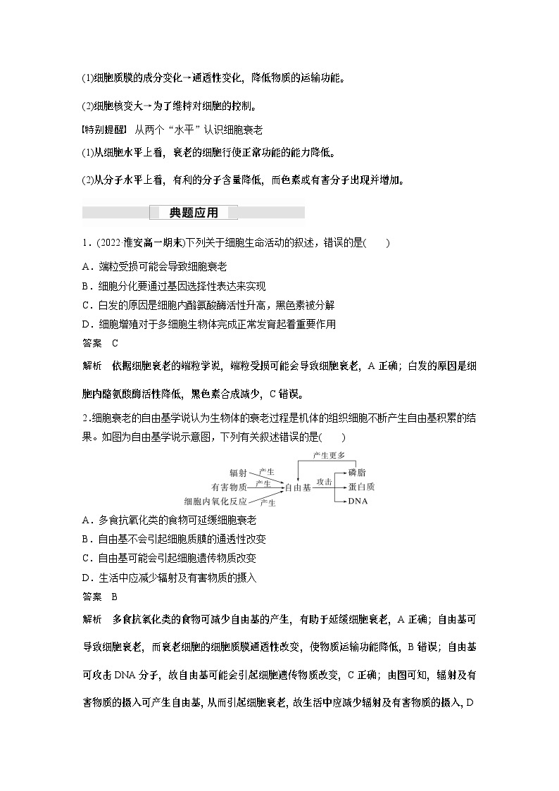 苏教版(2019）高中生物 必修1   第四章 第二节 第2课时　细胞衰老和细胞死亡（学案+课时对点练 word版含解析）03