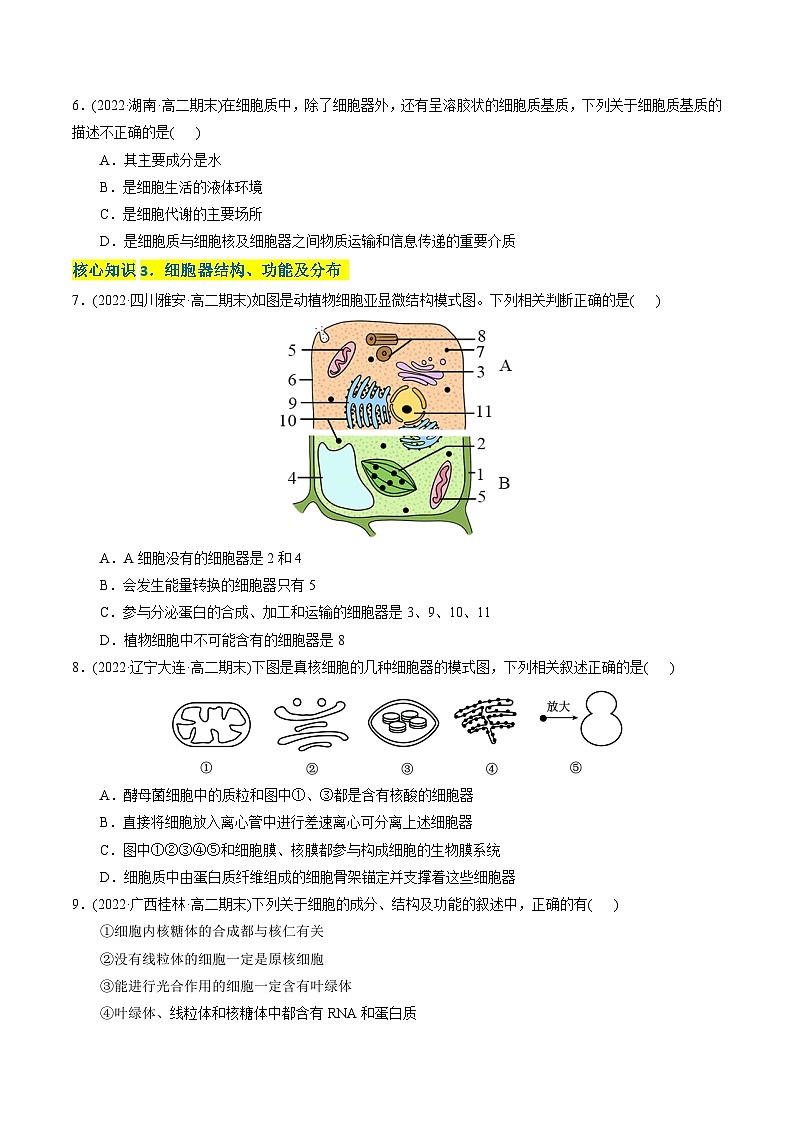 高一生物分层训练AB卷(人教版2019必修1)第3章 细胞的基本结构(A卷·知识通关练)02