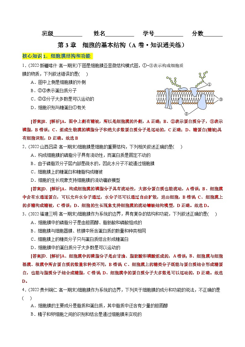 高一生物分层训练AB卷(人教版2019必修1)第3章 细胞的基本结构(A卷·知识通关练)01