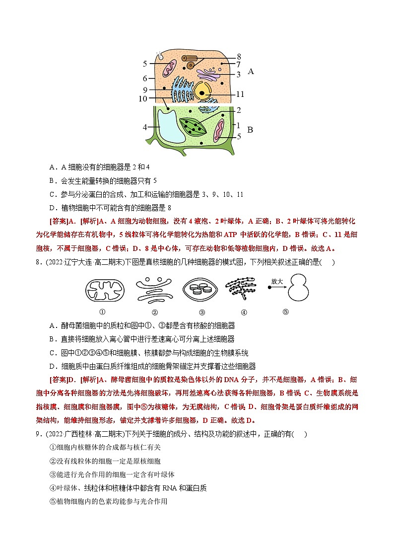 高一生物分层训练AB卷(人教版2019必修1)第3章 细胞的基本结构(A卷·知识通关练)03