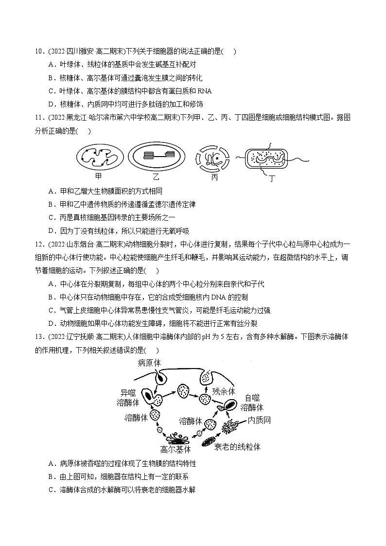 高一生物分层训练AB卷(人教版2019必修1)第3章 细胞的基本结构(B卷·能力提升练)03