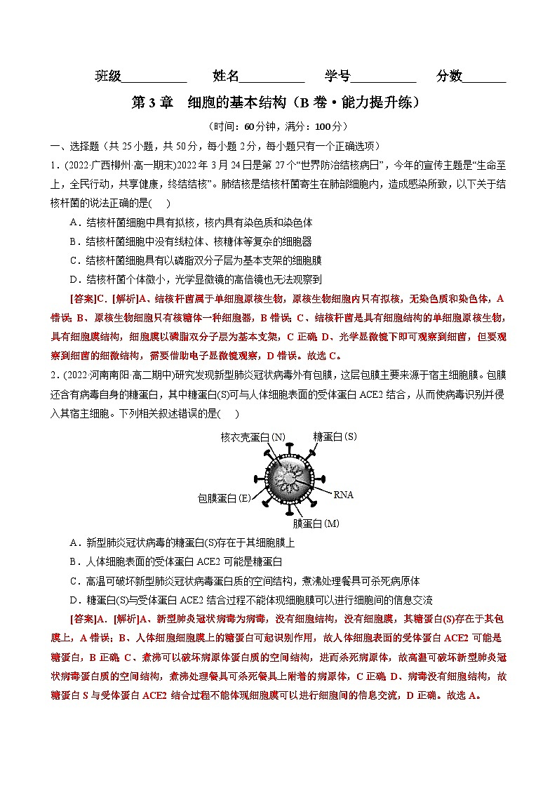 高一生物分层训练AB卷(人教版2019必修1)第3章 细胞的基本结构(B卷·能力提升练)01