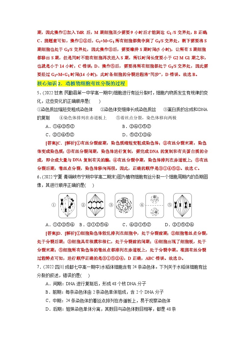 高一生物分层训练AB卷（人教版2019必修1）第6章  细胞的生命历程（A卷·知识通关练）03