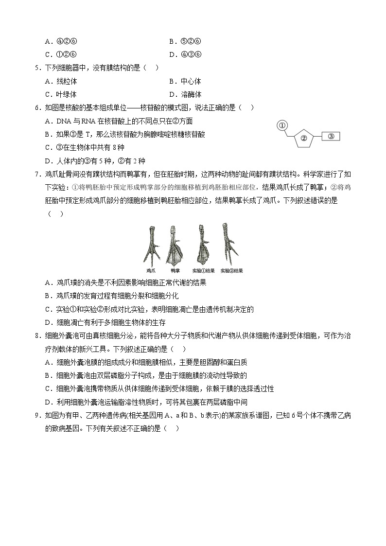 生物-新高三开学摸底考试卷（全国通用，老教材）02