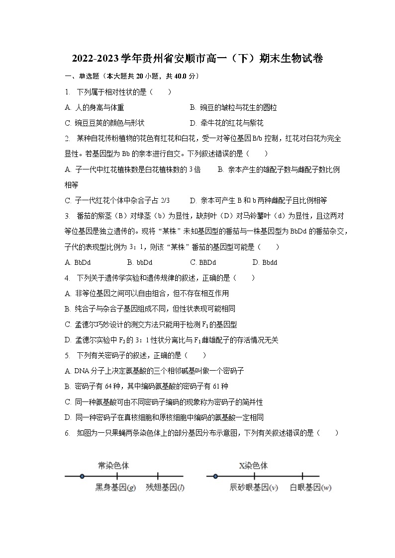 2022-2023学年贵州省安顺市高一（下）期末生物试卷（含解析）01