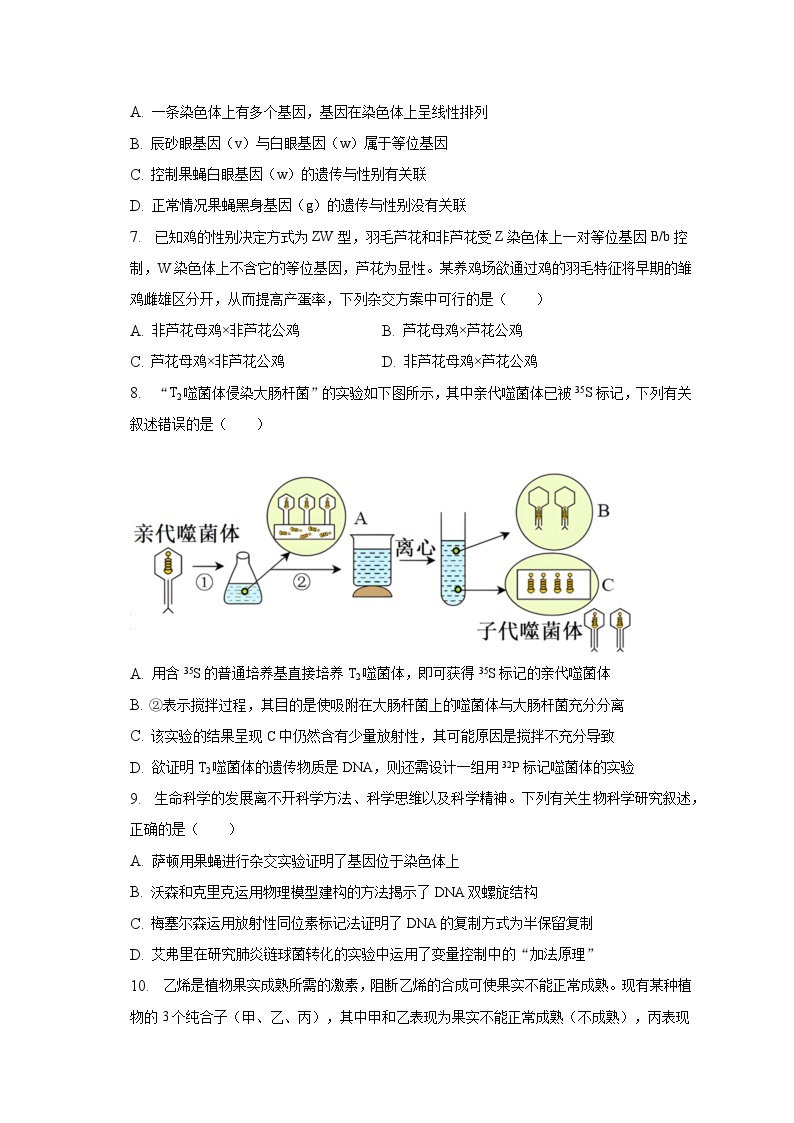 2022-2023学年贵州省安顺市高一（下）期末生物试卷（含解析）02
