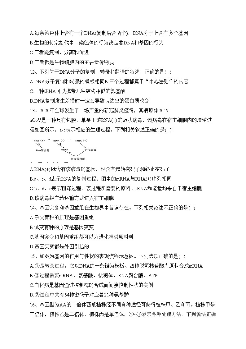 陕西省宝鸡市金台区2022-2023学年高一下学期期末考试生物试卷(含答案)03