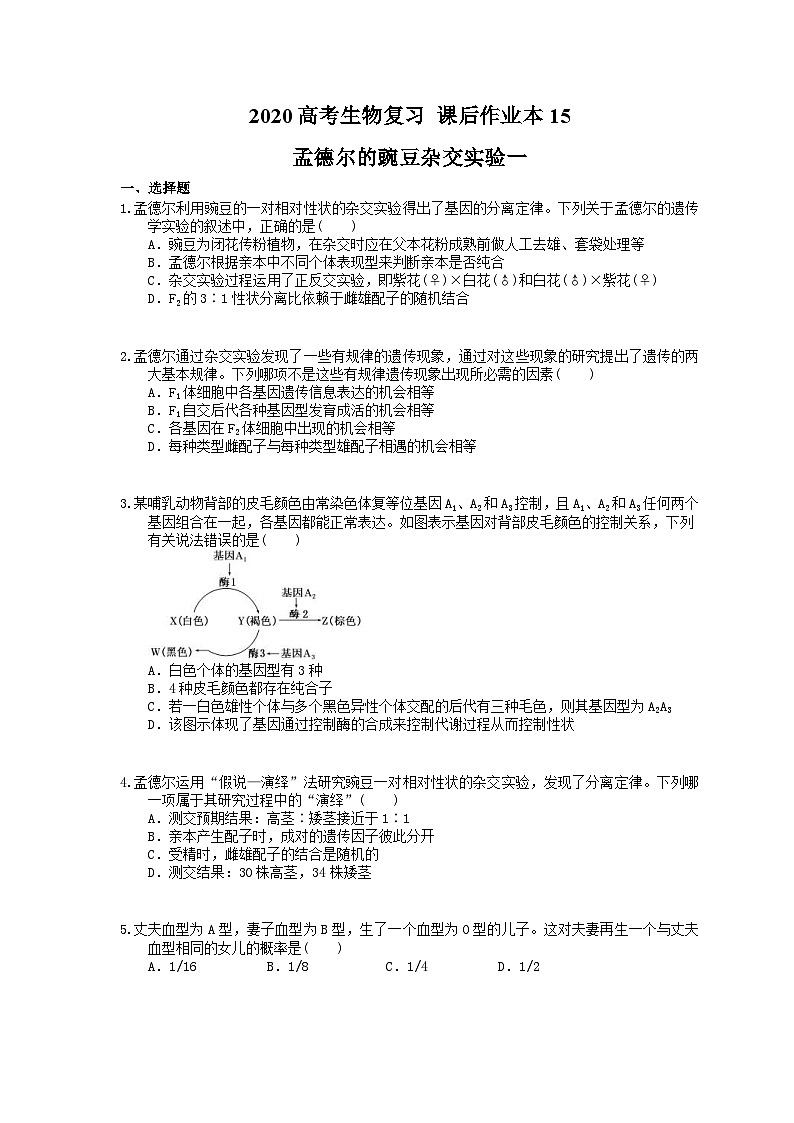高考生物一轮复习 课后作业本15 孟德尔的豌豆杂交实验一(含解析)第1页