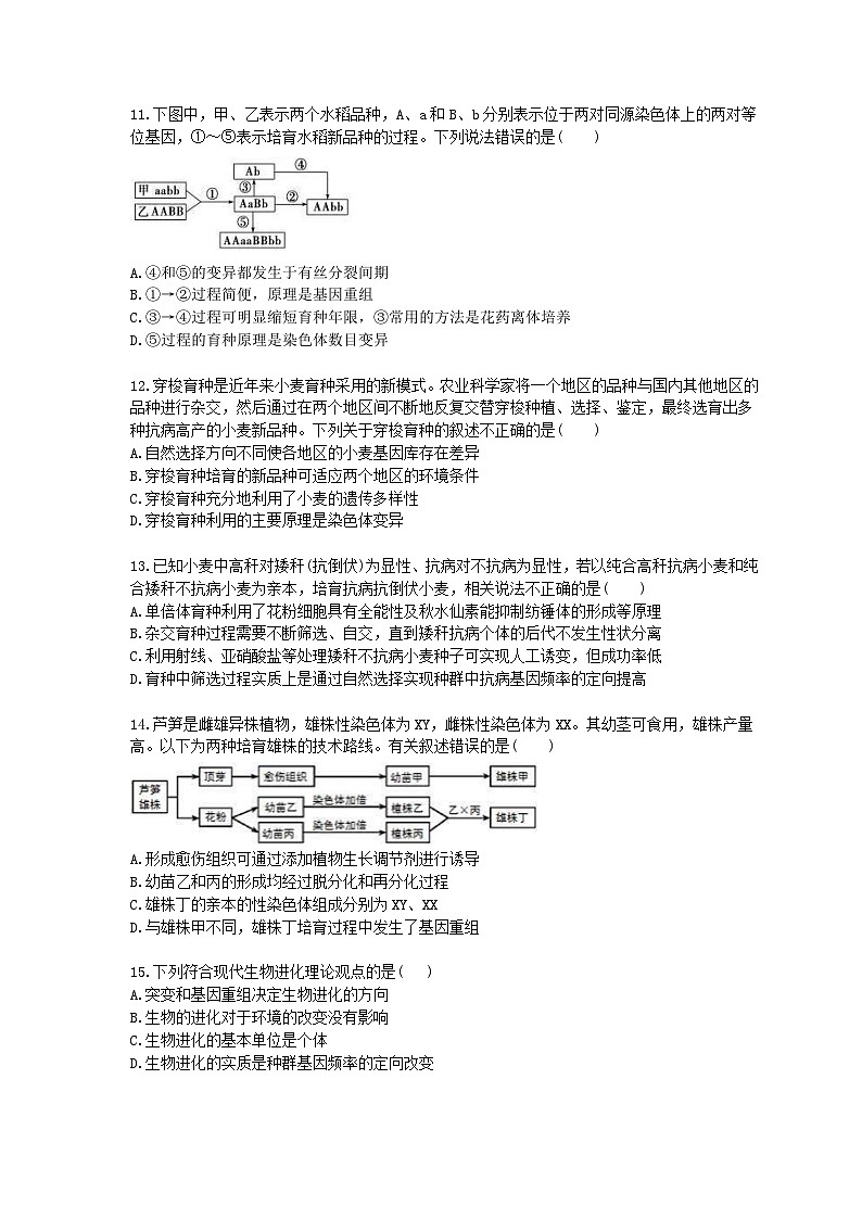 高考生物一轮单元复习 生物的变异、育种和进化(含答案解析) 试卷03