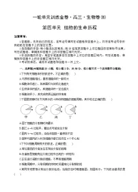 高考生物一轮单元卷:第04单元 细胞的生命历程 B卷(含答案解析)