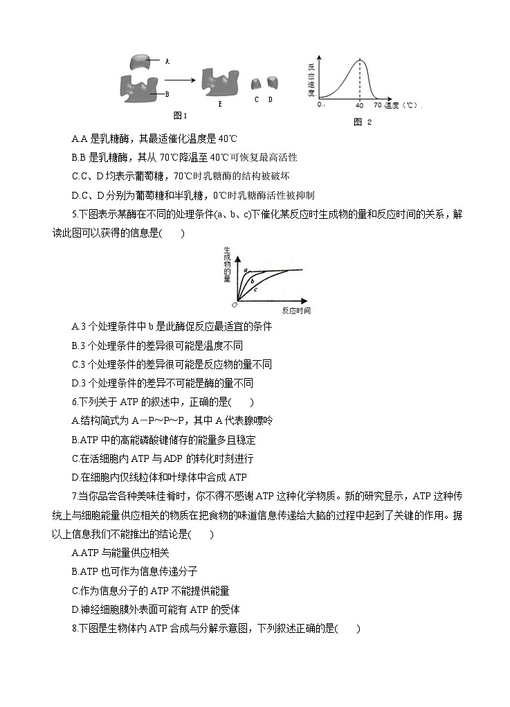 高考生物一轮单元卷:第03单元 细胞的能量供应和利用 A卷(含答案解析)第2页
