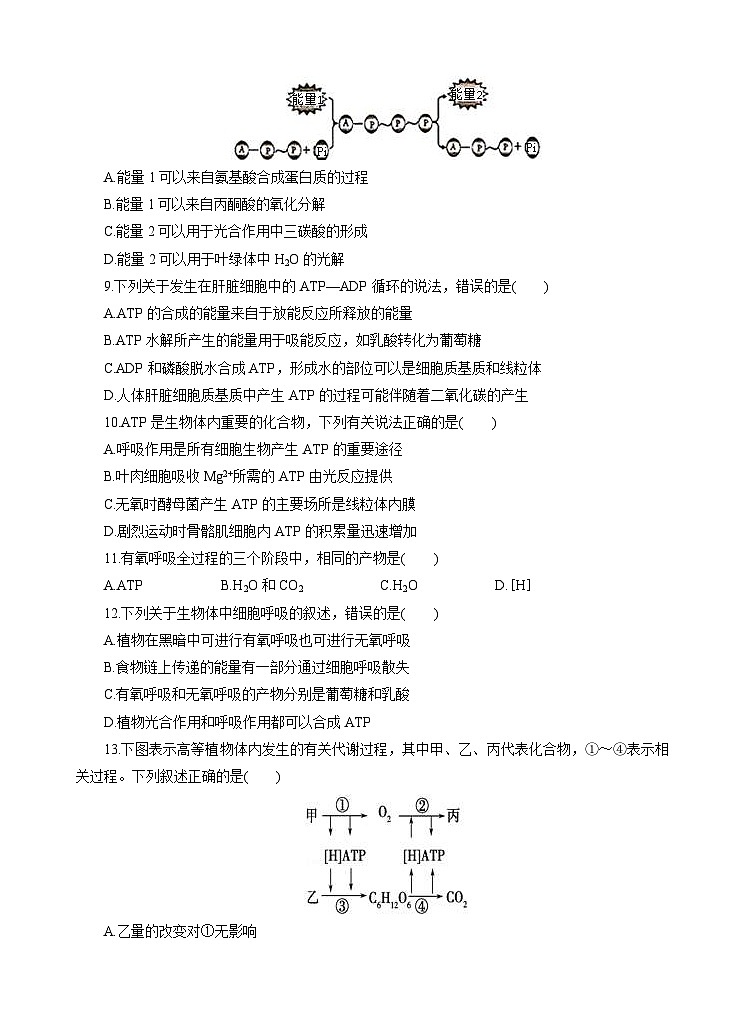高考生物一轮单元卷:第03单元 细胞的能量供应和利用 A卷(含答案解析)第3页