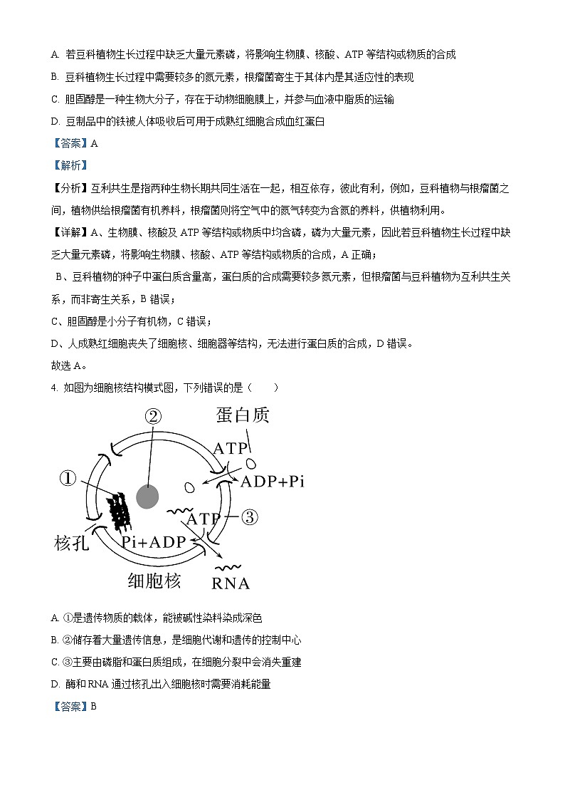福建省厦门市双十中学2022-2023学年高二下学期期中生物试题(解析版)03