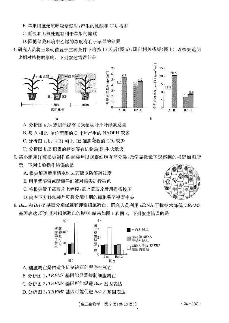 _生物丨河南省名校联考2024届高三上学期8月入学摸底考试生物试卷及答案02