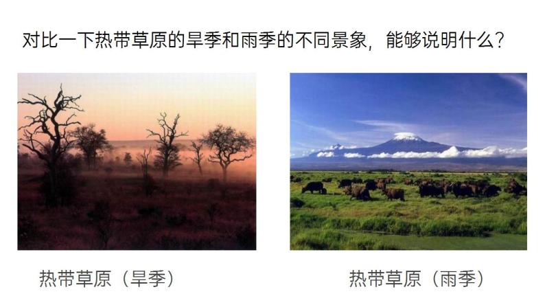 【核心素养】人教版高中生物必修一2.2 细胞中的无机物 课件03