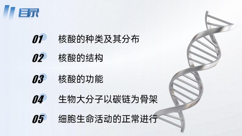 【核心素养】人教版高中生物必修一2.5 核酸是遗传信息的携带者 课件05