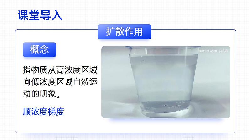 【核心素养】人教版高中生物必修一4.1 被动运输(下) 课件04