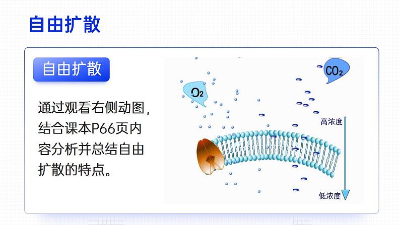 【核心素养】人教版高中生物必修一4.1 被动运输(下) 课件07