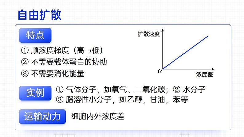【核心素养】人教版高中生物必修一4.1 被动运输(下) 课件08