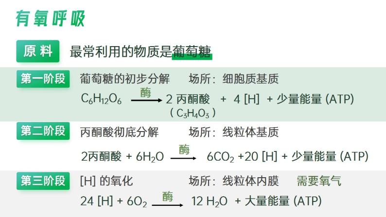 【核心素养】人教版高中生物必修一5.3.1 细胞呼吸的原理和应用（第二课时） 课件08