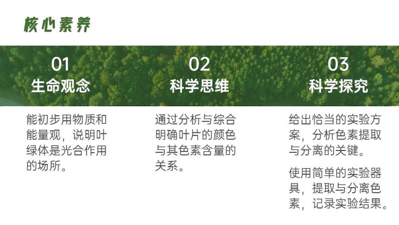 【核心素养】人教版高中生物必修一5.4.1 捕获光能的色素和结构 课件02