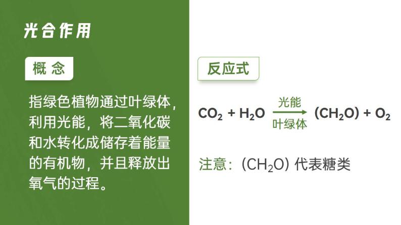 【核心素养】人教版高中生物必修一5.4.2 光合作用的原理和应用 课件06