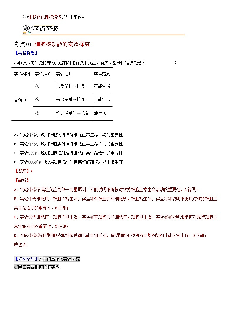 【同步讲义】高中生物(人教版2019)必修第一册--3.3《细胞核的结构和功能》讲义(教师版)第2页