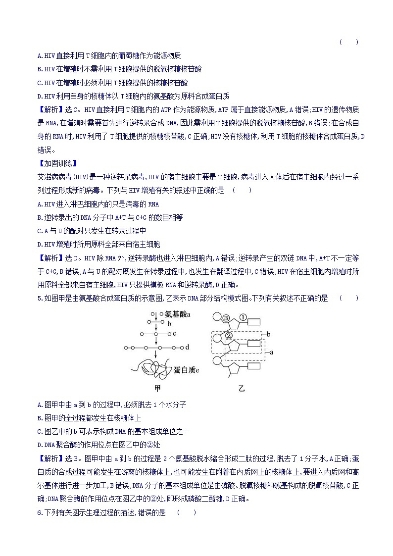高考生物二轮复习练习:专题05 遗传的分子基础 交汇题型过关练(含答案)第2页
