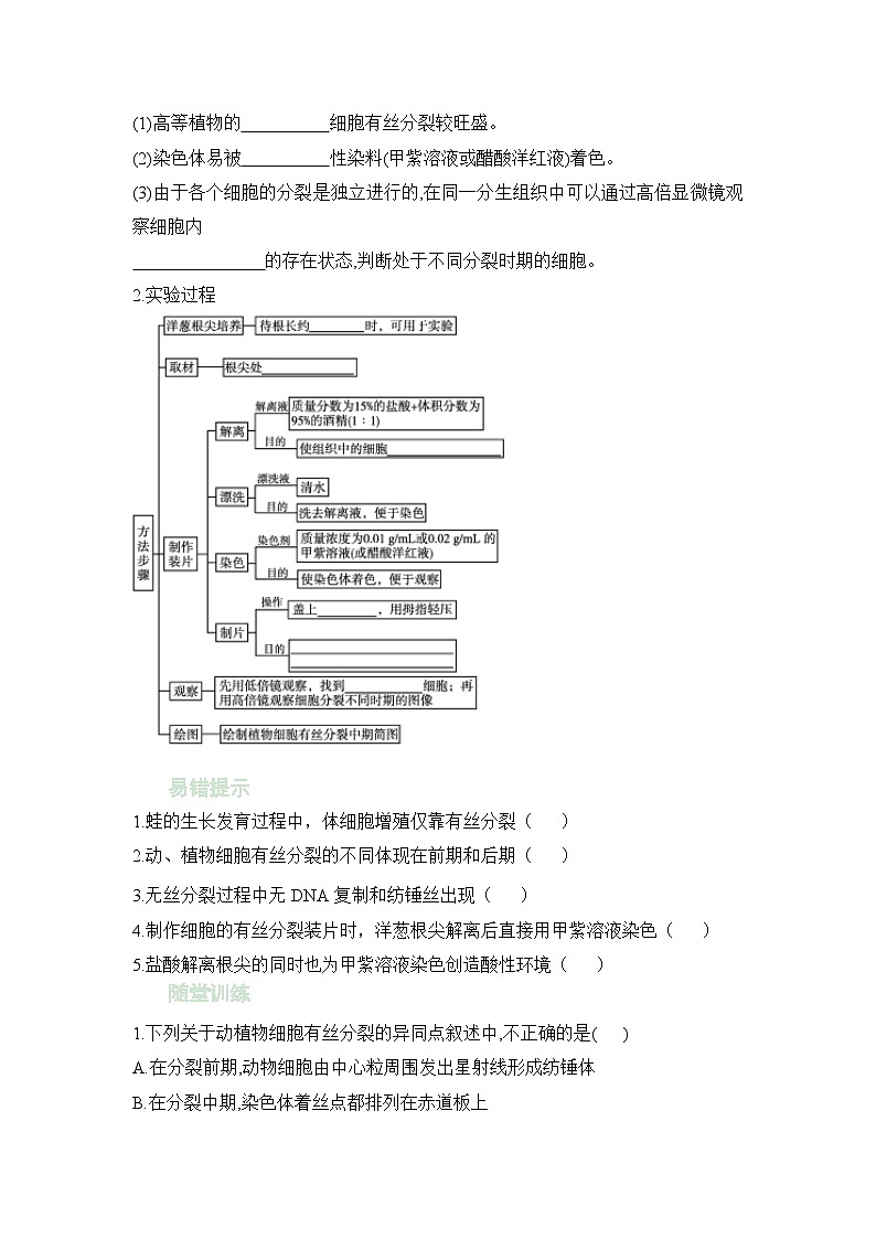 人教版（2019）必修1-6.1細(xì)胞的增殖 第2課時（教學(xué)學(xué)案）（含解析）第2頁