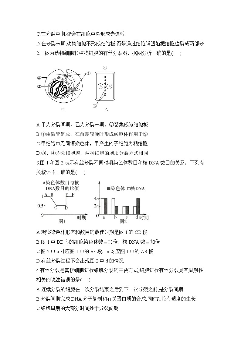 人教版(2019)必修1-6.1细胞的增殖 第2课时(教学学案)(含解析)第3页
