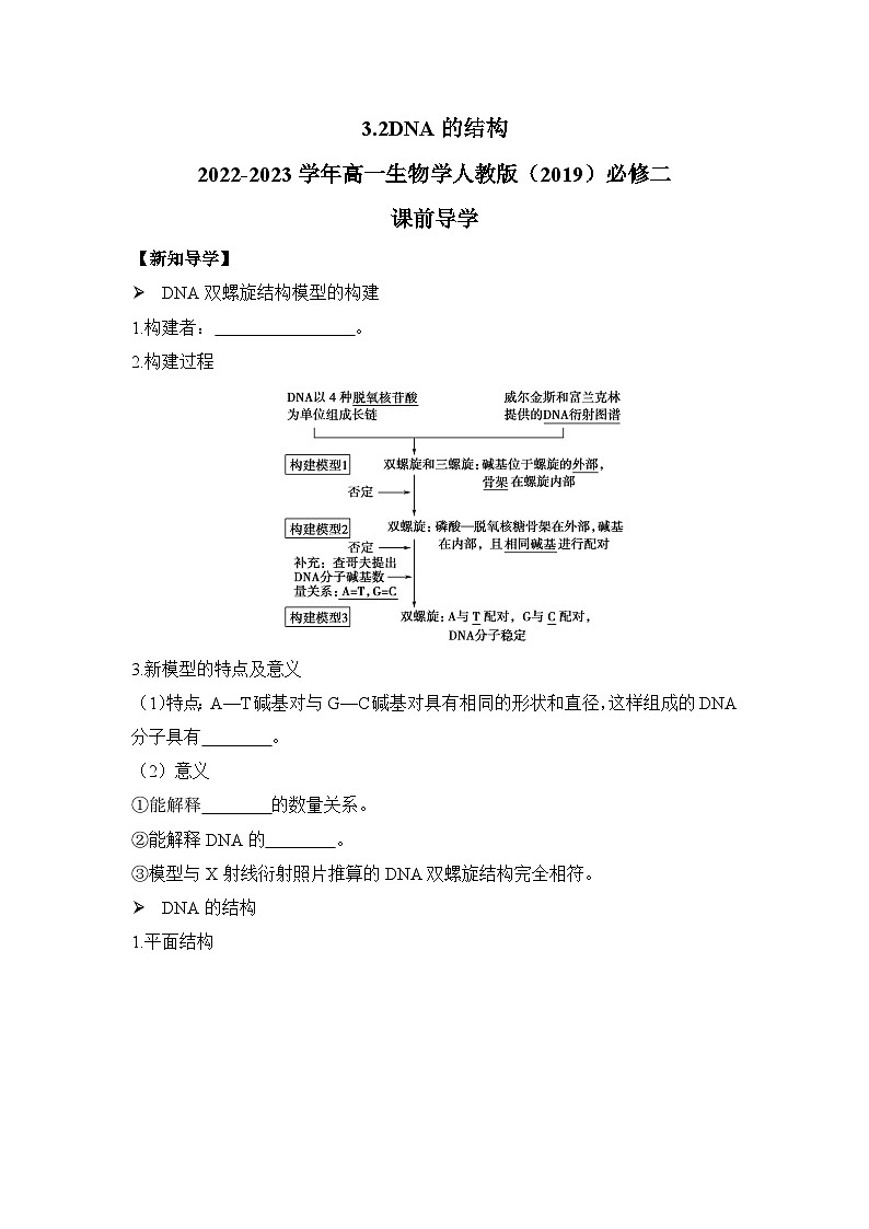 高中生物学人教版(2019)必修二 3.2DNA的结构 导学案(含解析)第1页