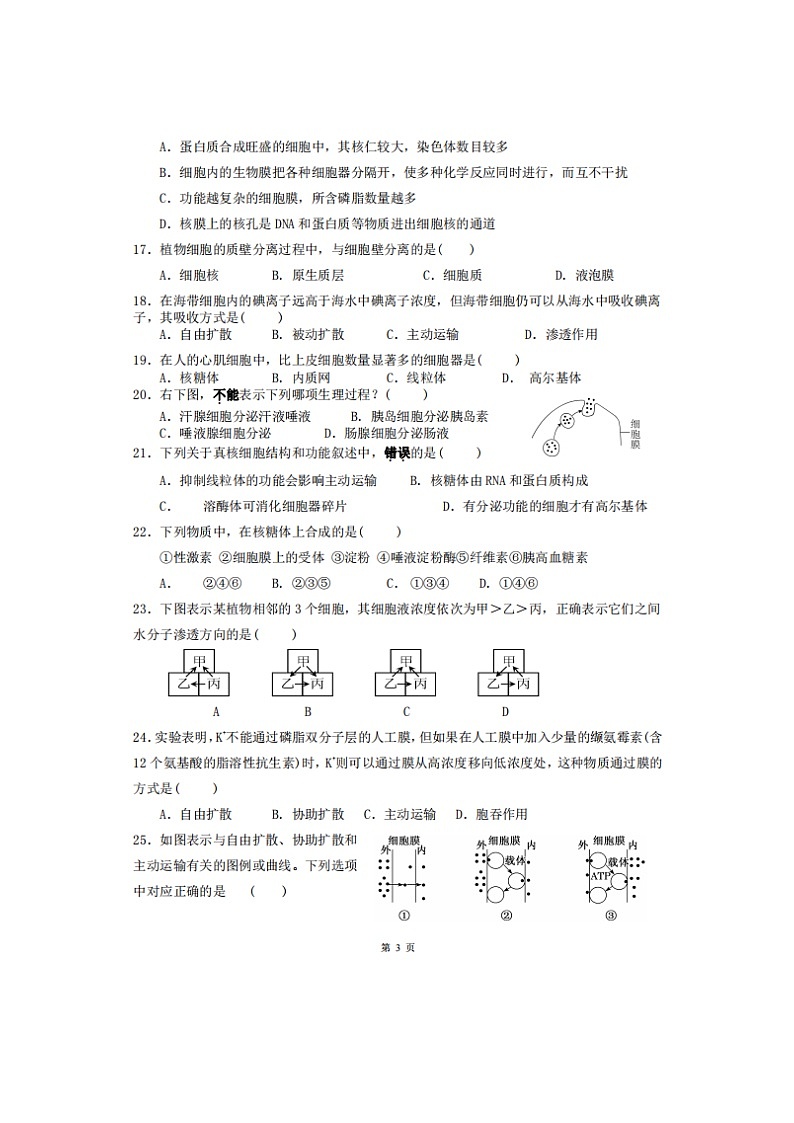 2023届甘肃省临夏回族自治州广河县广河中学高一上学期生物期末试题第3页