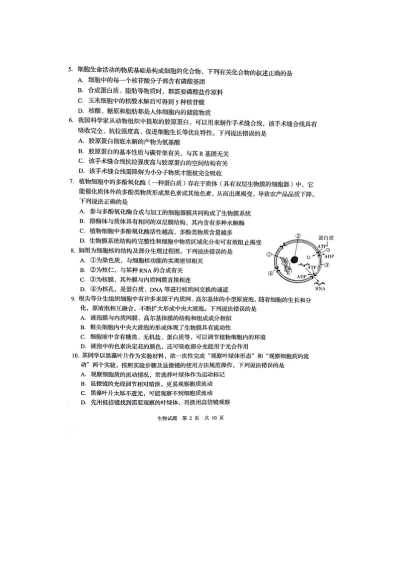 2023届山东省青岛市平度市高一上学期生物期末考试题02