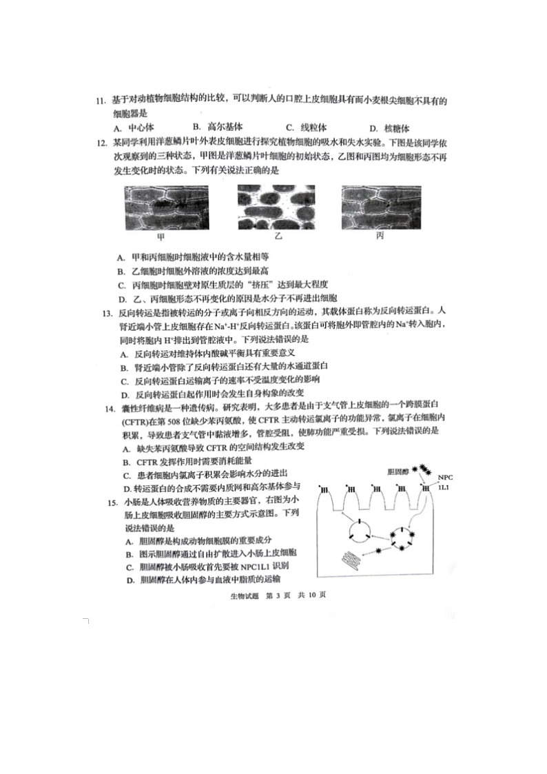 2023届山东省青岛市平度市高一上学期生物期末考试题03