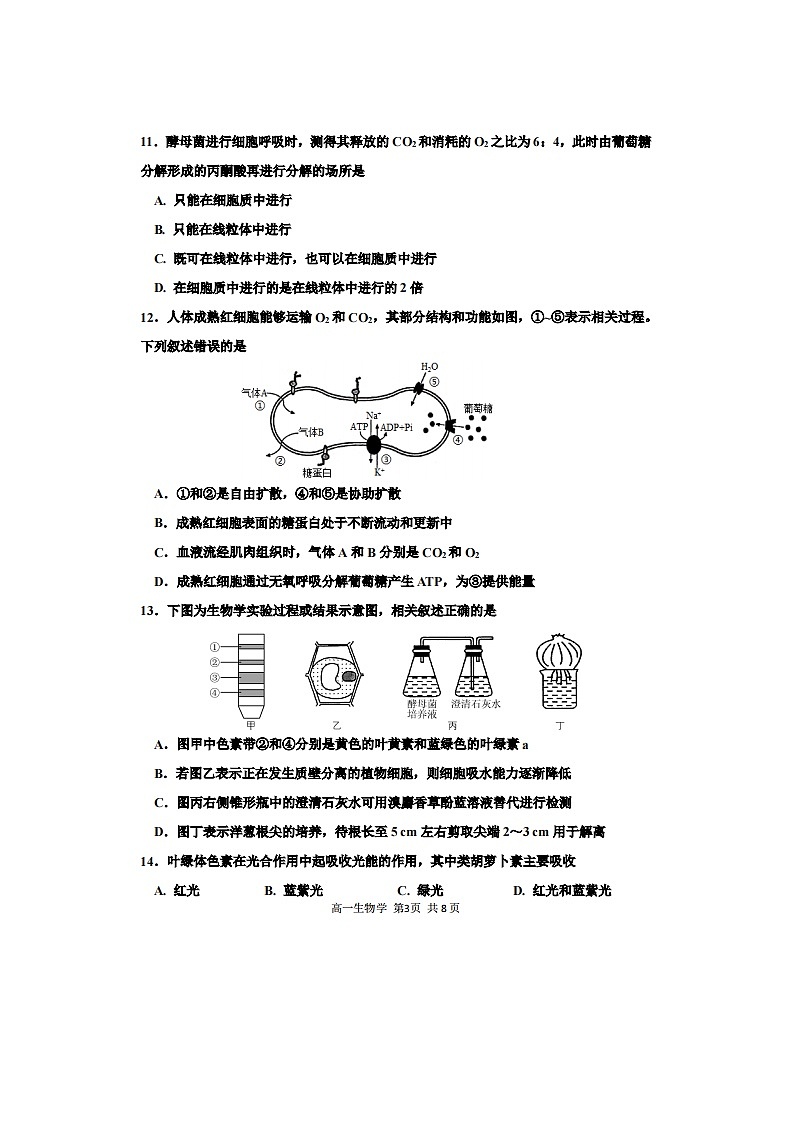 2023届天津市红桥区高一上学期生物期末试题第3页