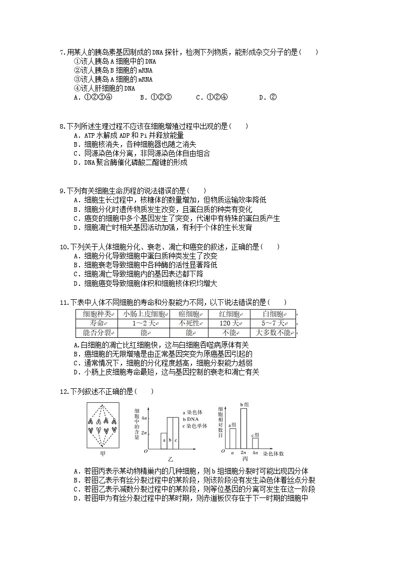高考生物 二轮专题跟踪练习06 细胞的生命历程含减数分裂(含答案解析)第2页