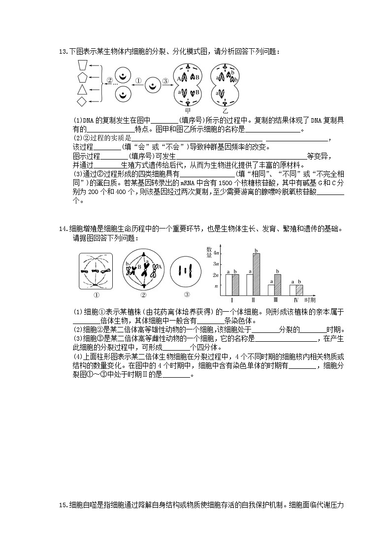 高考生物 二轮专题跟踪练习06 细胞的生命历程含减数分裂(含答案解析)第3页