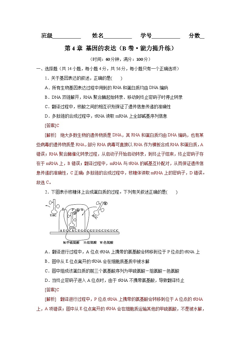 第4章 基因的表达(B卷·能力提升练)(教师版)第1页