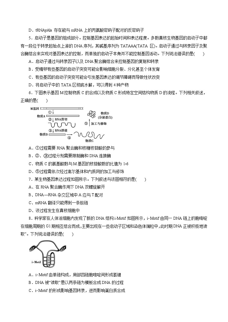 第4章 基因的表达(B卷·能力提升练)(学生版)第2页