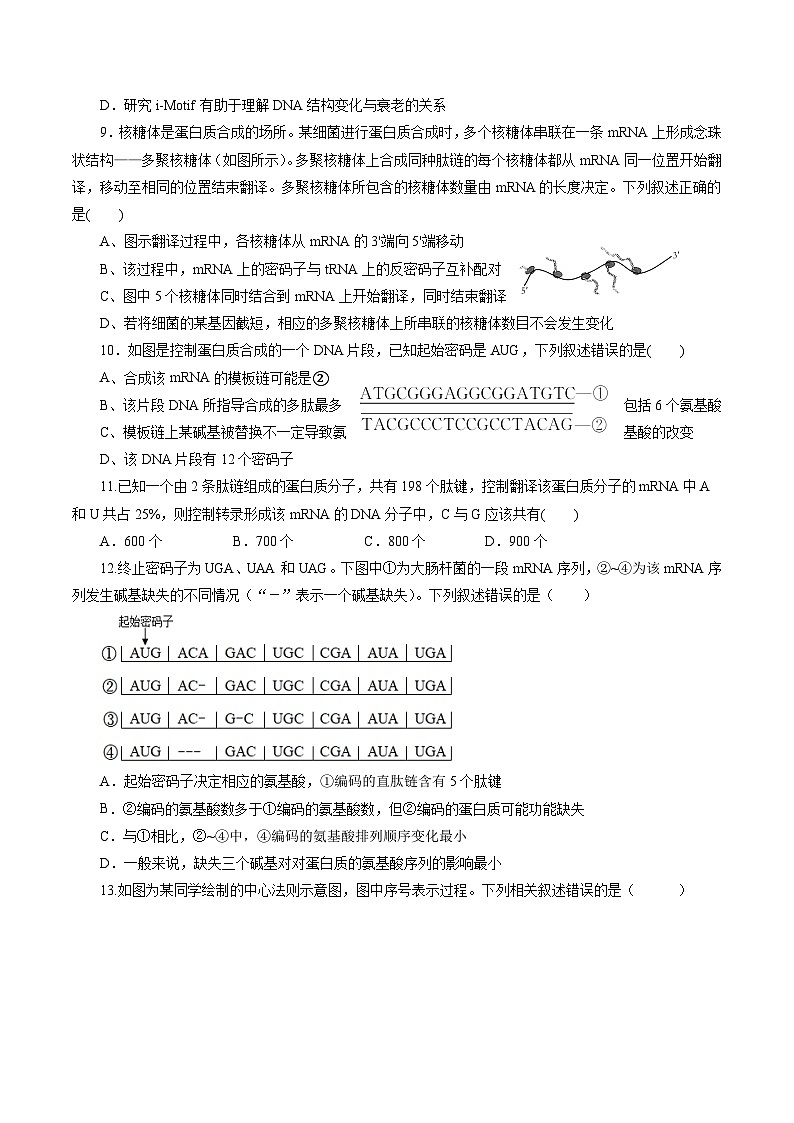 第4章 基因的表达(B卷·能力提升练)(学生版)第3页