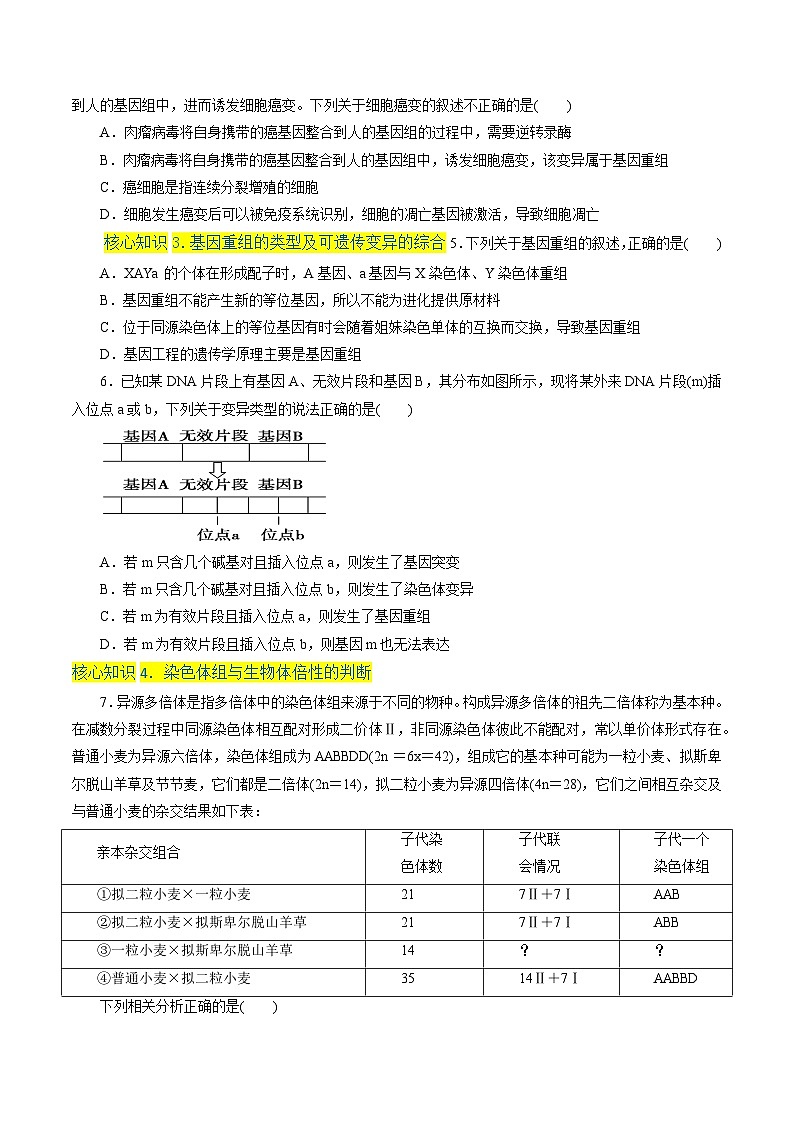 第5章  基因突變及其他變異（A卷·知識(shí)通關(guān)練）（學(xué)生版）第2頁(yè)