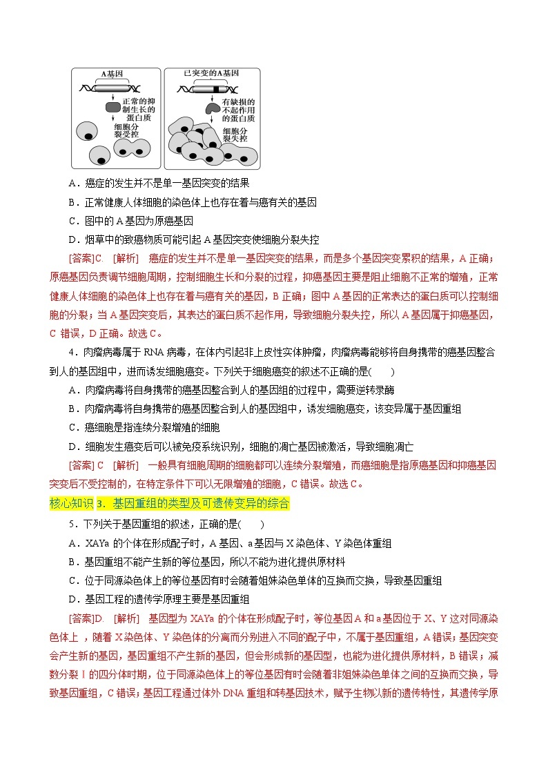 高一生物分层训练AB卷（人教版2019必修2）第5章  基因突变及其他变异（A卷·知识通关练）02