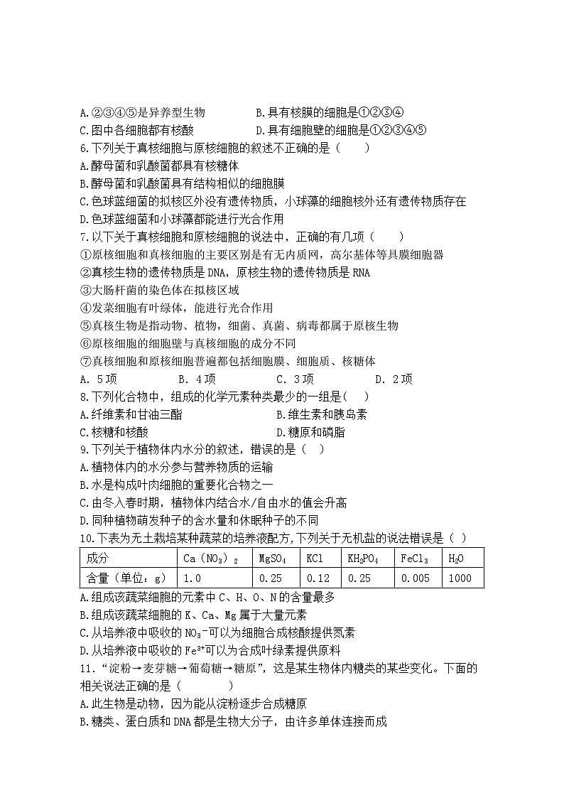 辽宁省六校协作体2022-2023学年高一生物上学期10月联考试题(Word版附答案)第2页