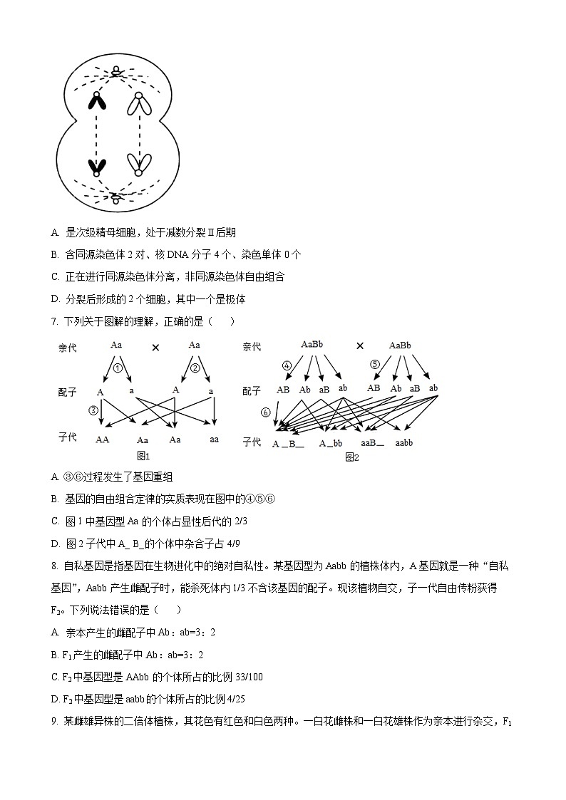 四川省绵阳市南山中学实验学校2022-2023学年高一6月月考生物试题无答案第2页