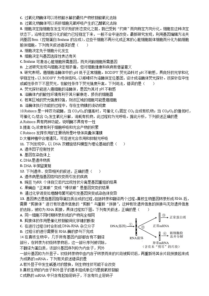 2023成都石室中学高三下学期周练6生物试题含答案第2页