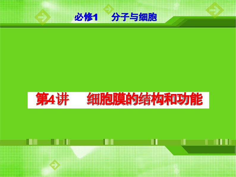 第4讲 细胞膜的结构和功能(课件精讲)-【一轮精讲】备战2024年高考生物一轮复习课件精讲和题型归纳第1页