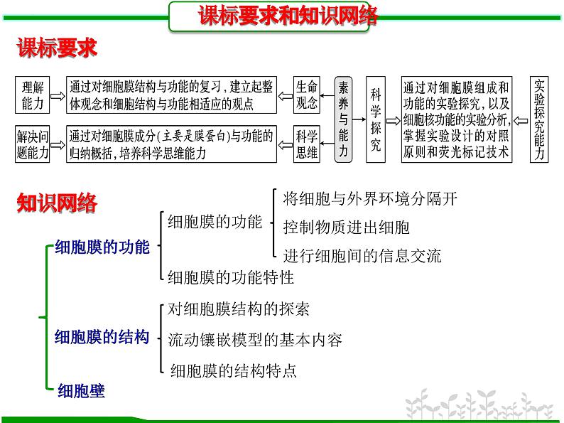 第4讲 细胞膜的结构和功能(课件精讲)-【一轮精讲】备战2024年高考生物一轮复习课件精讲和题型归纳第2页