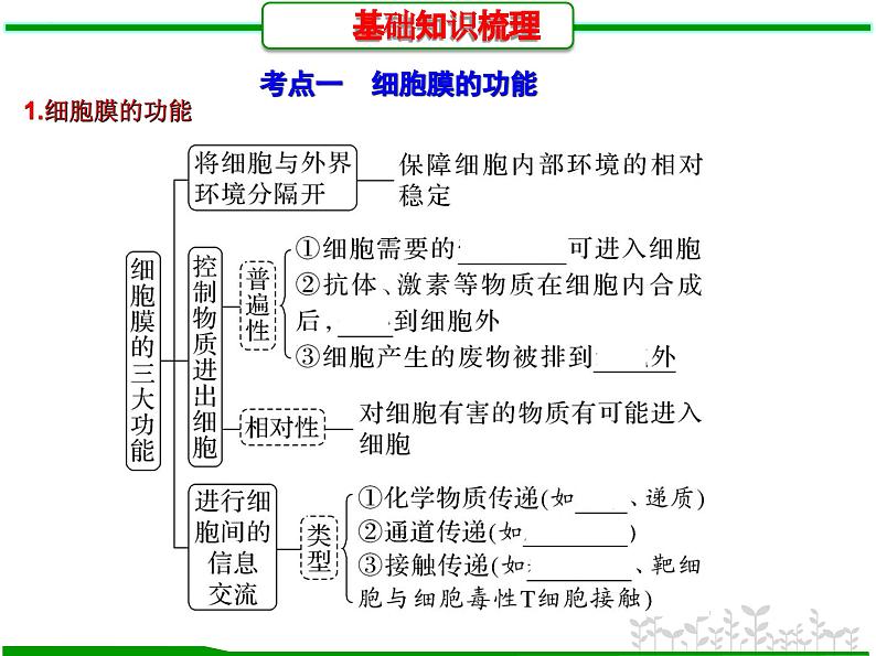 第4讲 细胞膜的结构和功能(课件精讲)-【一轮精讲】备战2024年高考生物一轮复习课件精讲和题型归纳第3页
