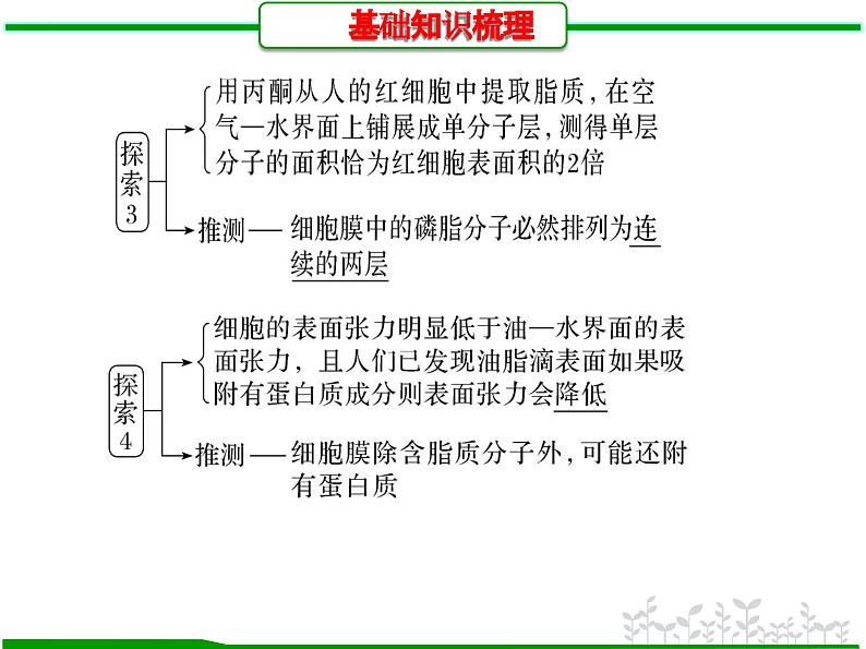 第4讲 细胞膜的结构和功能(课件精讲)-【一轮精讲】备战2024年高考生物一轮复习课件精讲和题型归纳第7页
