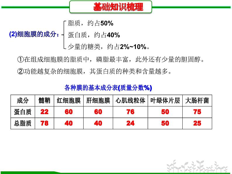 第4讲 细胞膜的结构和功能(课件精讲)-【一轮精讲】备战2024年高考生物一轮复习课件精讲和题型归纳第8页